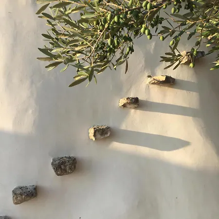 Trullo Amelie 别墅 奥斯图尼